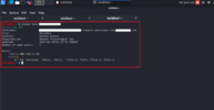 shodan-terminal-kali-linux-6.png