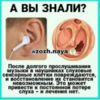 1686732067452.png