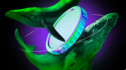 1741174315132.png 1741174315132.png