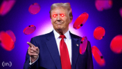 1743661254918.png 1743661254918.png