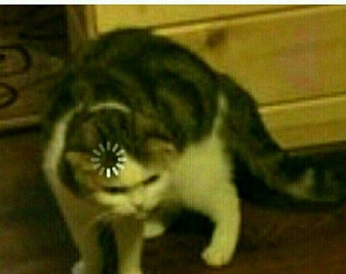 Eseninv