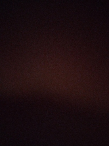 Lisa123