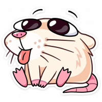 kanadzumi