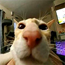 lgjjhkltlkhlk