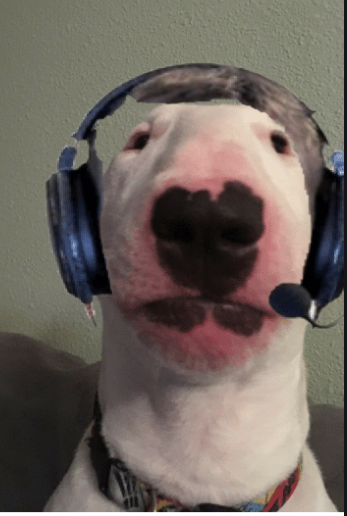 r0x3r