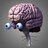 Brain_Cool