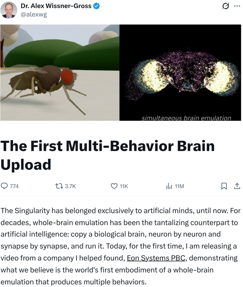 ШІ навпаки: дослідники вперше завантажили живий мозок мухи в Матрицю і дозволили йому керувати віртуальним тілом