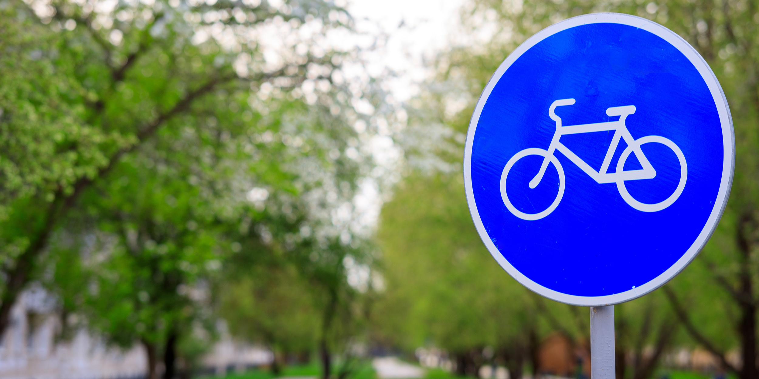 Дорожная безопасность: знак «Велосипедная дорожка»