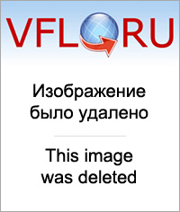 31323489.jpg