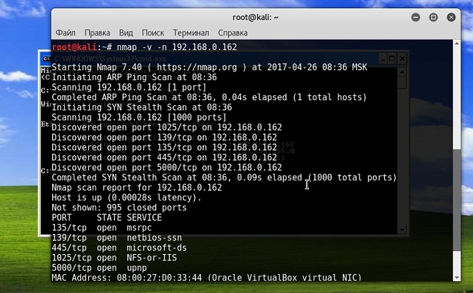 iyJePfx-q1o.jpg