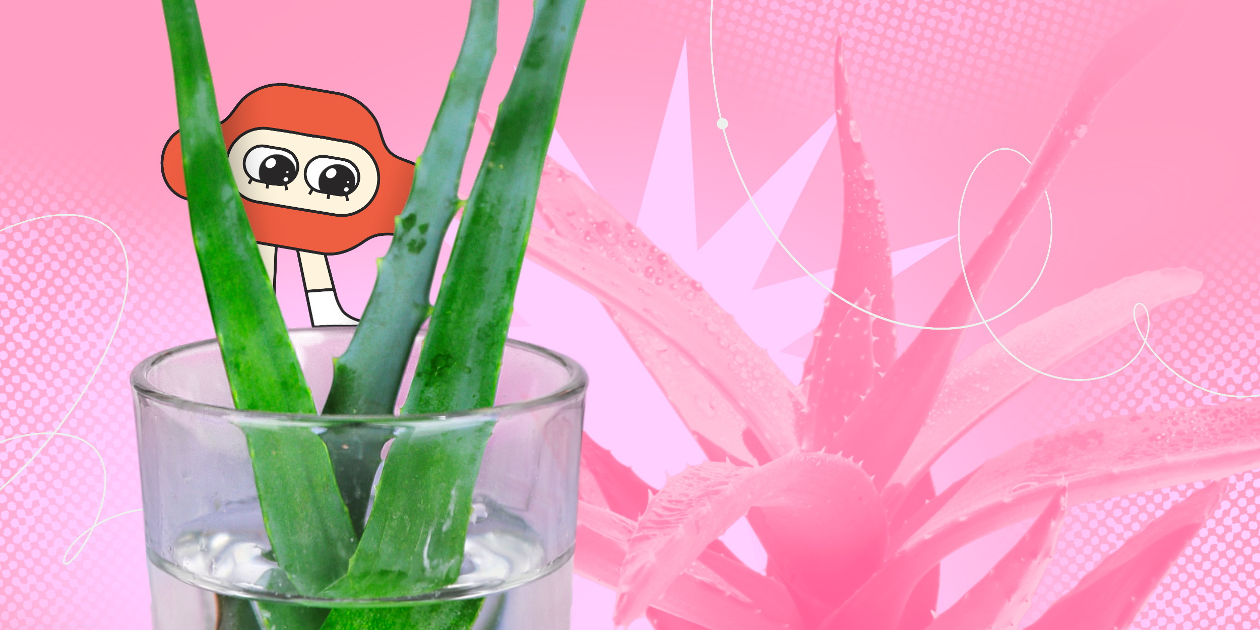 Как размножить алоэ в домашних условиях