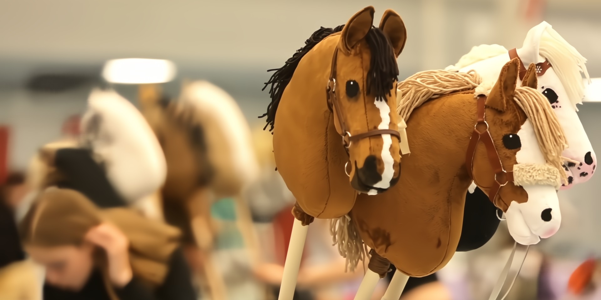 Как выглядят хоббихорсы