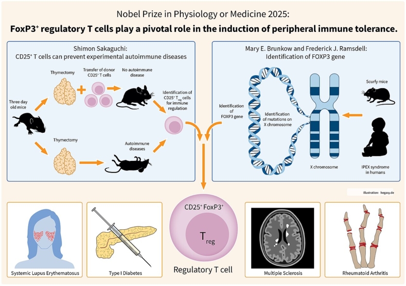 Нобелівська премія 2025: відкриття, що змінили світ