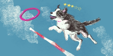 Дрессировка или воспитание: какой подход к питомцу выбрать