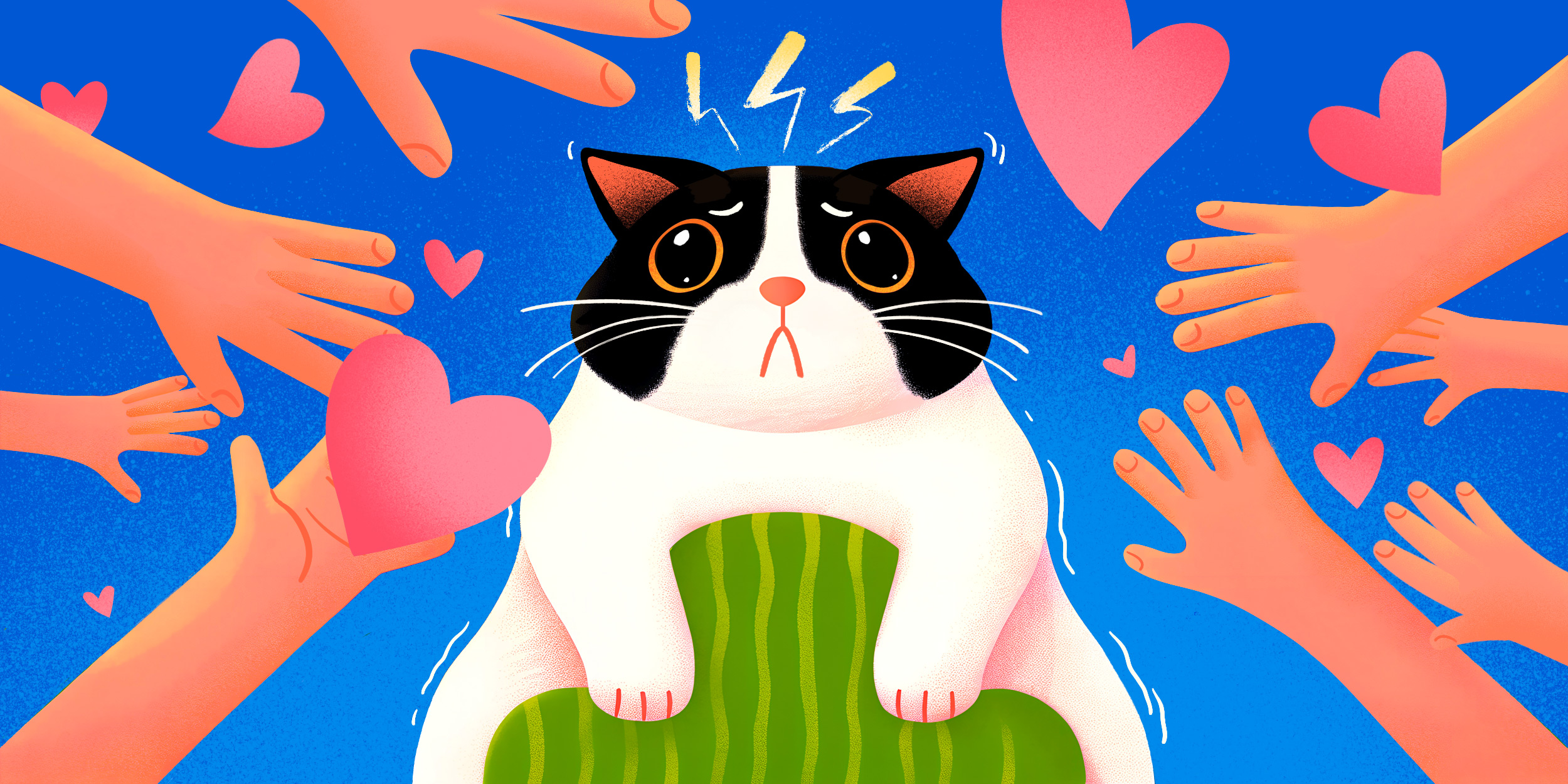 Как мы эксплуатируем собак и кошек и почему это не&nbsp;ок