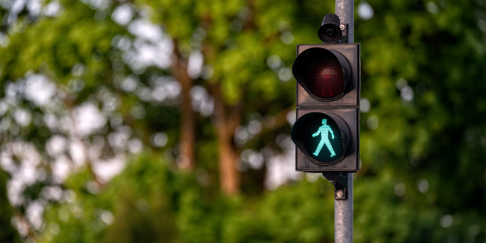 Дорожная безопасность: светофоры 