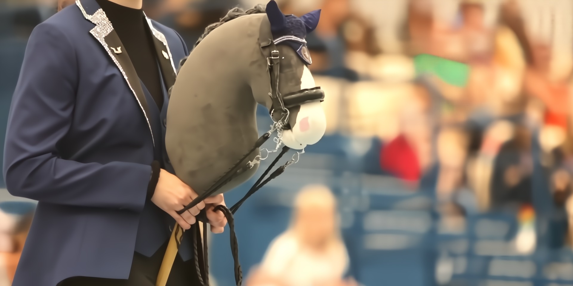 Хоббихорсинг: как выглядит костюм 