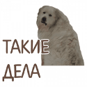53 ;memesmile53; ;memesmile53;